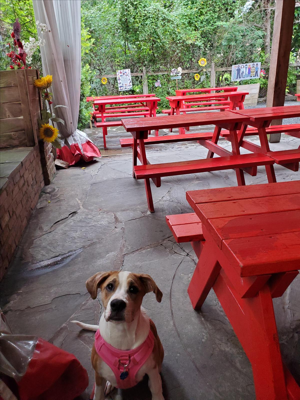 Little Matt's restaurant view 1