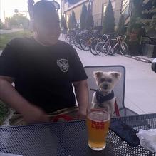 Big Lug Canteen restaurant view 1