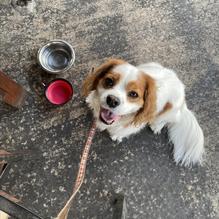 Lowdown Oven & Bar (L.D.O.B) restaurant view 1