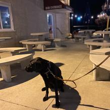 Camillo's Italian Restaurant & Bar restaurant view 2