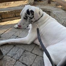 Restaurant Gastrognome restaurant view 4