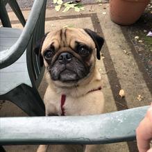 Bacon Beach Grille restaurant view 1