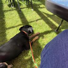 Logan's restaurant view 1