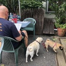 Bacon Beach Grille restaurant view 5