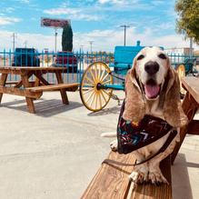 Larry & Milt's Western Cafe restaurant view 1