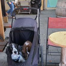 Mudsharks Coffee Bar restaurant view 1