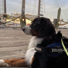 Peter Ott's on the Water restaurant view 2