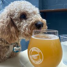 Artillery Brewing restaurant view 2