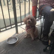 Two Bit Cafe restaurant view 1