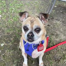 Heibeck's Stand restaurant view 2