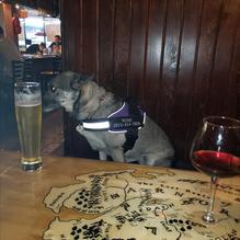 Public House Brewing Company restaurant view 9