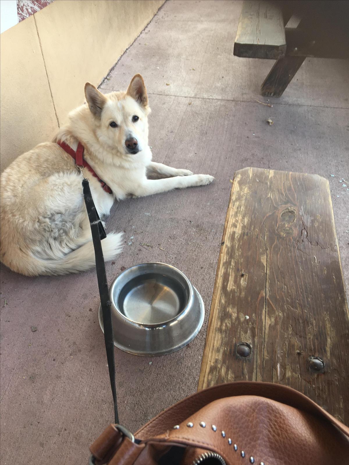 Tonopah Brewing Co. restaurant view 1