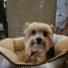 Chill Bar & Grille restaurant view 2