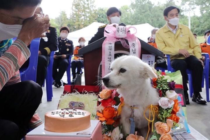 South Korea honors hero dog.