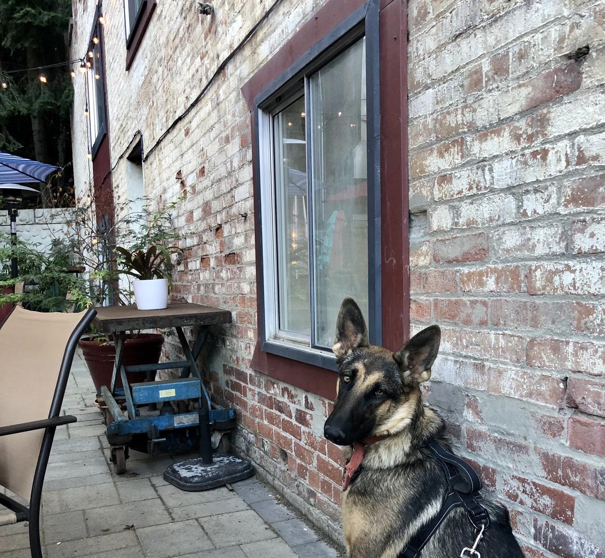 Fainting Goat Wine Bar restaurant view 1