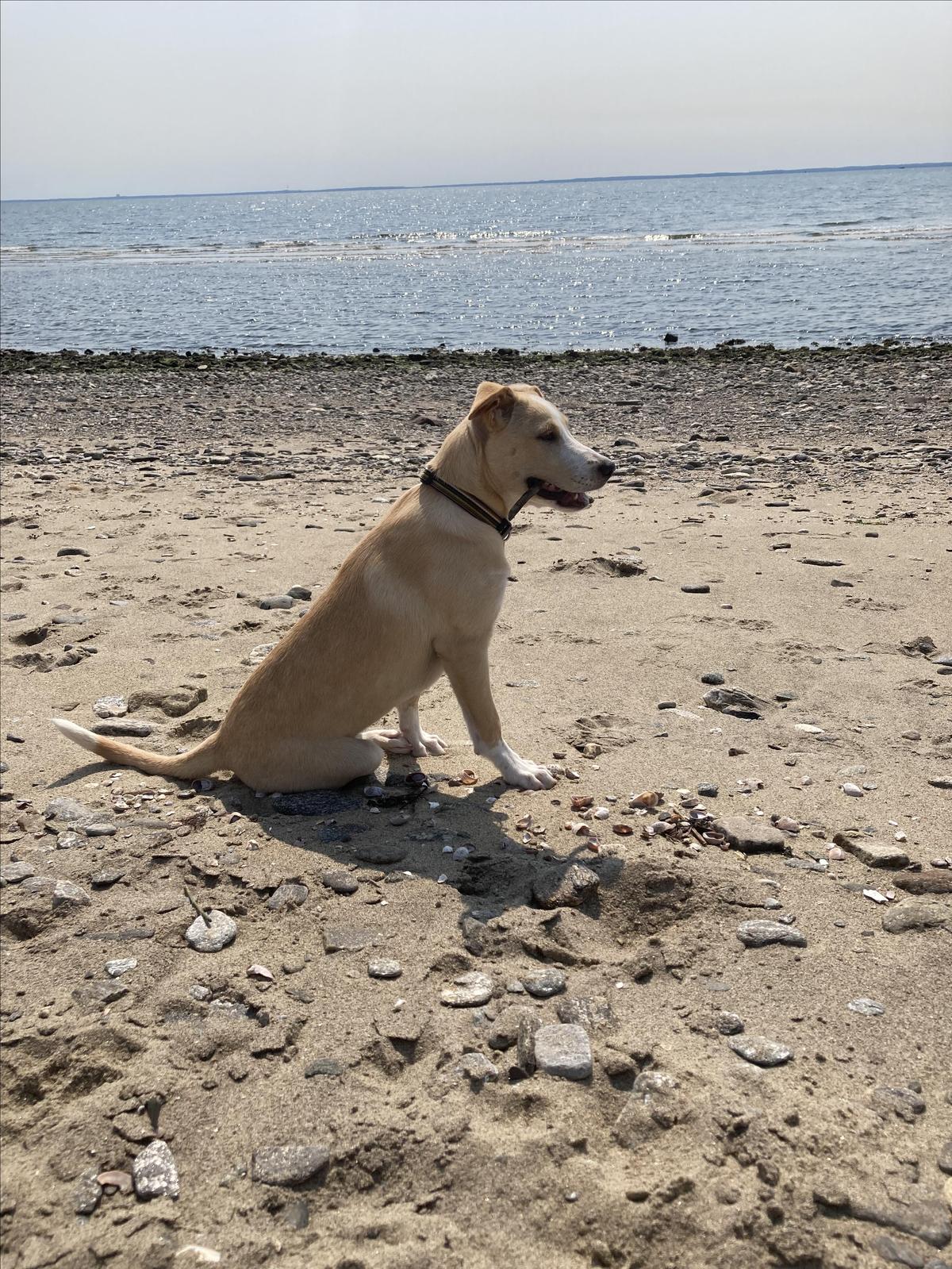 Sherwood Island State Park