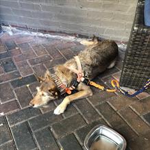 Square One Brewery & Distillery restaurant view 2