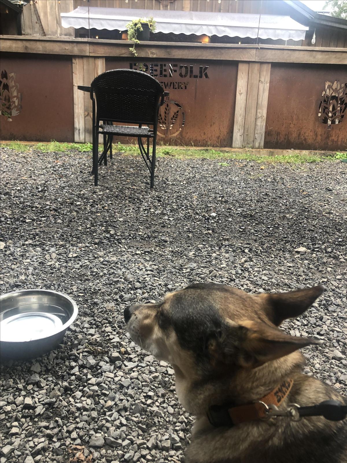 The Freefolk Brewery Taproom restaurant view 4