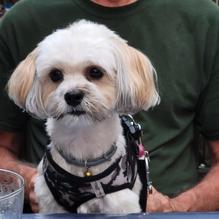 The Waterwheel Cafe restaurant view 2