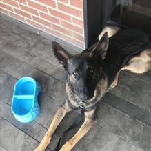 The Brass Tap restaurant view 1