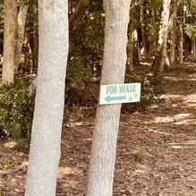 The Great Machipongo Clam Shack restaurant view 5