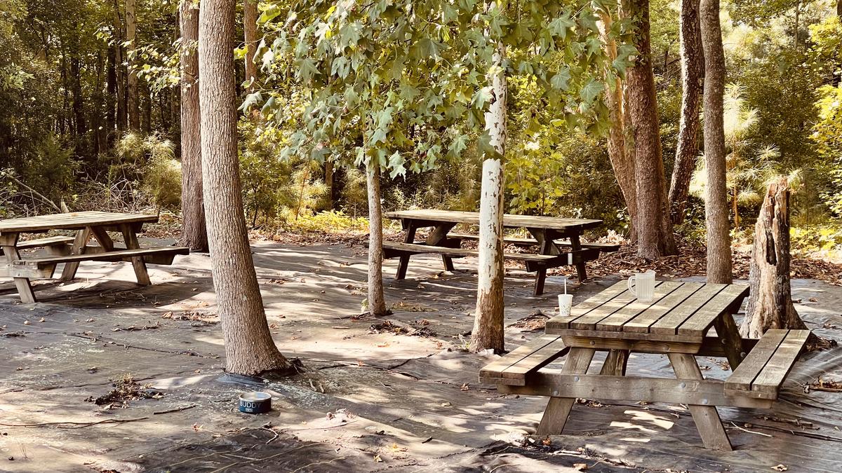The Great Machipongo Clam Shack restaurant view 3