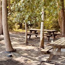 The Great Machipongo Clam Shack restaurant view 3