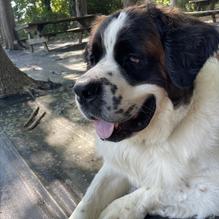 The Great Machipongo Clam Shack restaurant view 2