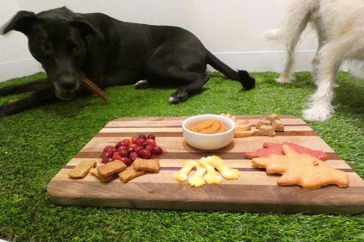 Charcuterie Boards for Dogs