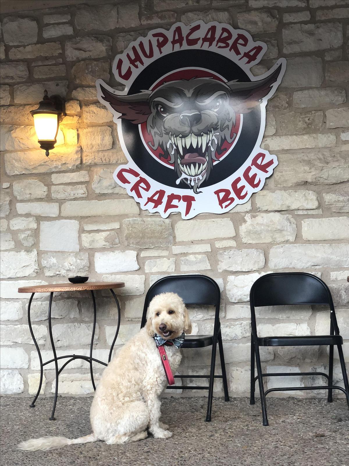 Chupacabra Craft Beer/Salado Creek Winery restaurant view 2