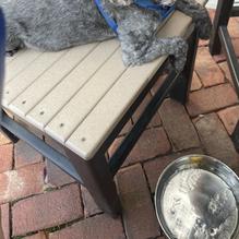 The Sterling Tavern restaurant view 5