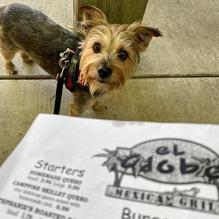 El Adobe Mexican Grill restaurant view 2