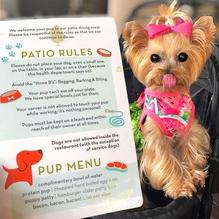 Great Maple restaurant view 5