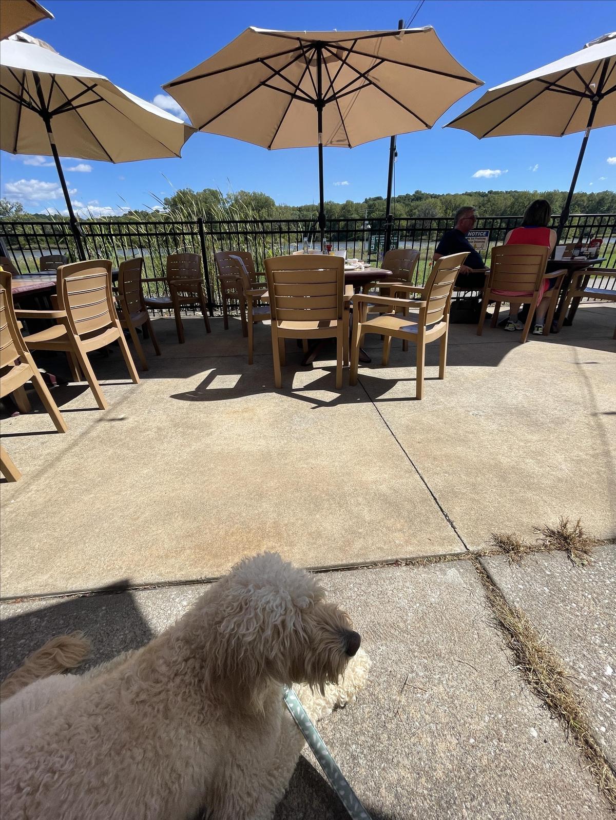Creve Coeur Lakehouse Bar & Grill restaurant view 3