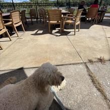 Creve Coeur Lakehouse Bar & Grill restaurant view 3