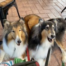 Peach Valley Cafe West restaurant view 1