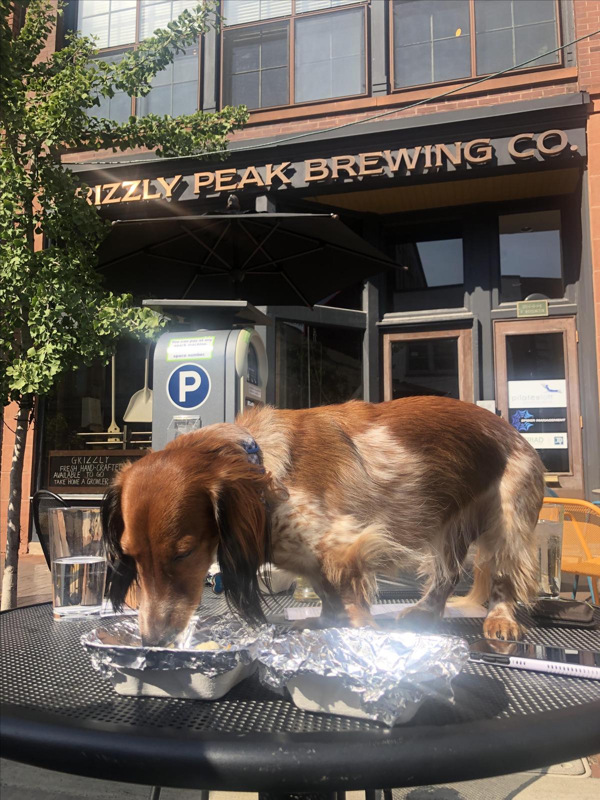 Grizzly Peak Brewing Company restaurant view 7
