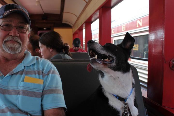 A man and his dog on a pet-friendly train.
