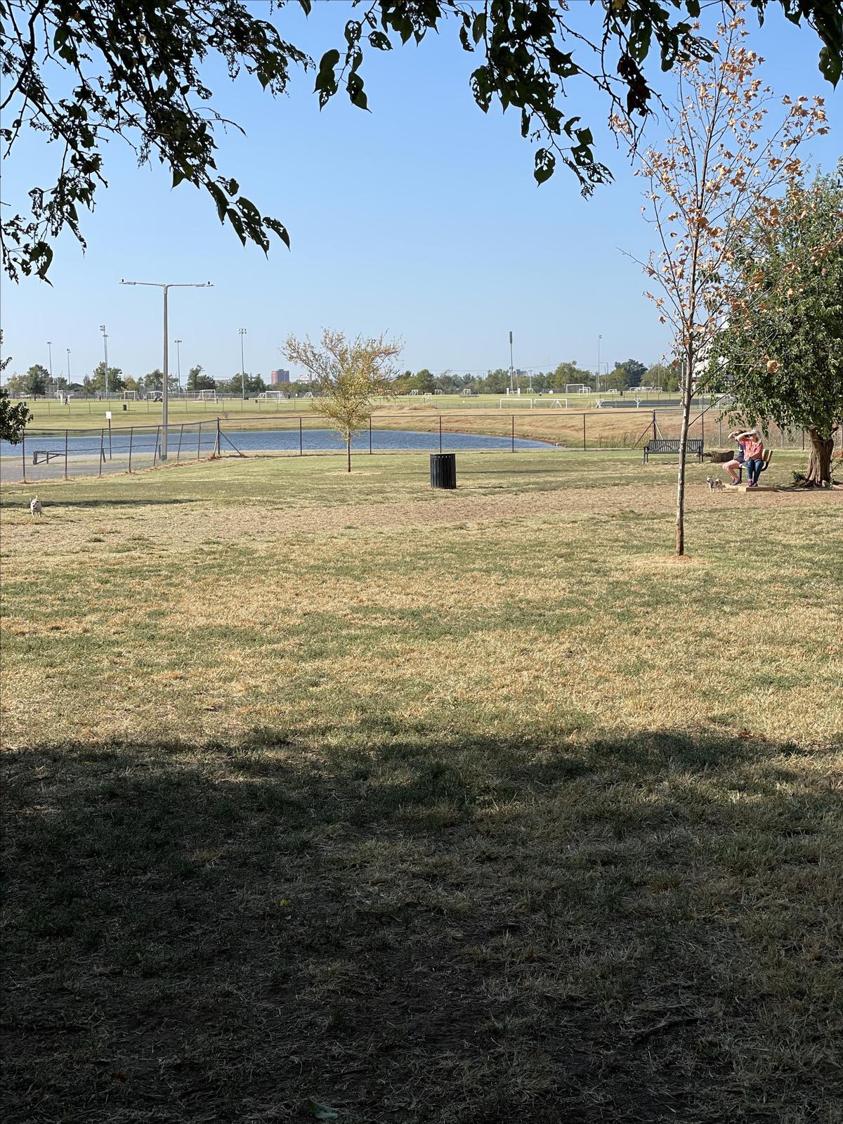 Norman dog park 2025