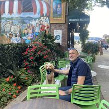 Bullfrog Brewery restaurant view 3