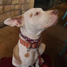 Farmer's Table restaurant view 1