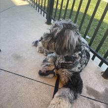 Aubrey's restaurant view 1