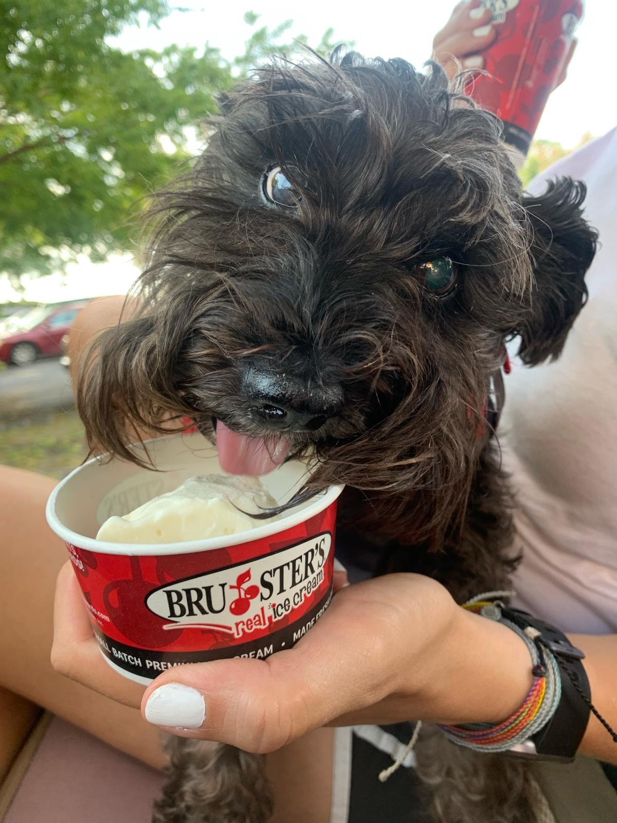 Bruster's Real Ice Cream restaurant view 1