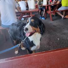 Smokey Joe's restaurant view 6