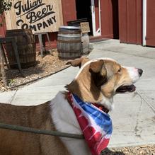 Julian Beer Company restaurant view 2