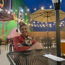 Sophisticated Hound Brewing Company restaurant view 4