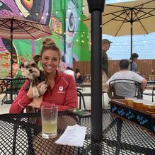 Sophisticated Hound Brewing Company restaurant view 5