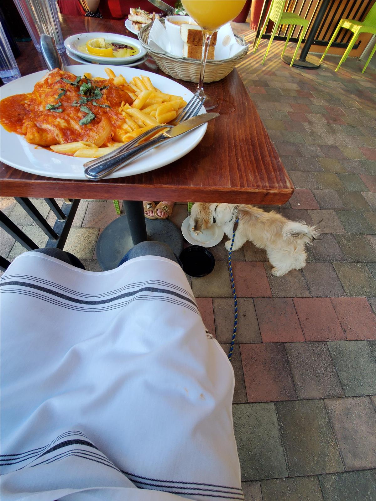 Bucatini Trattoria restaurant view 2