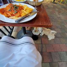 Bucatini Trattoria restaurant view 2