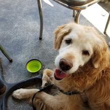 Rosenfeld's Jewish Delicatessen restaurant view 1